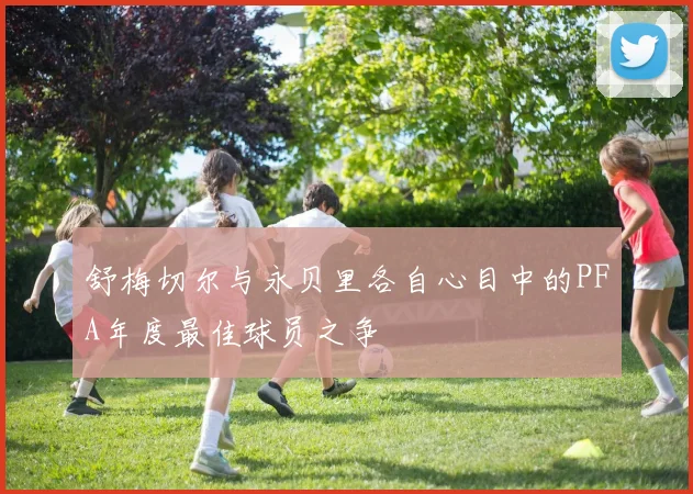 舒梅切尔与永贝里各自心目中的PFA年度最佳球员之争