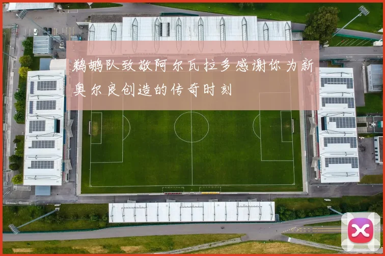 鹈鹕队致敬阿尔瓦拉多感谢你为新奥尔良创造的传奇时刻