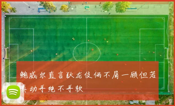 鲍威尔直言狄龙伎俩不屑一顾但若真动手绝不手软