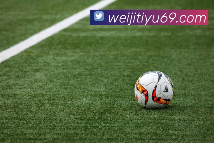 维基体育平台生态图